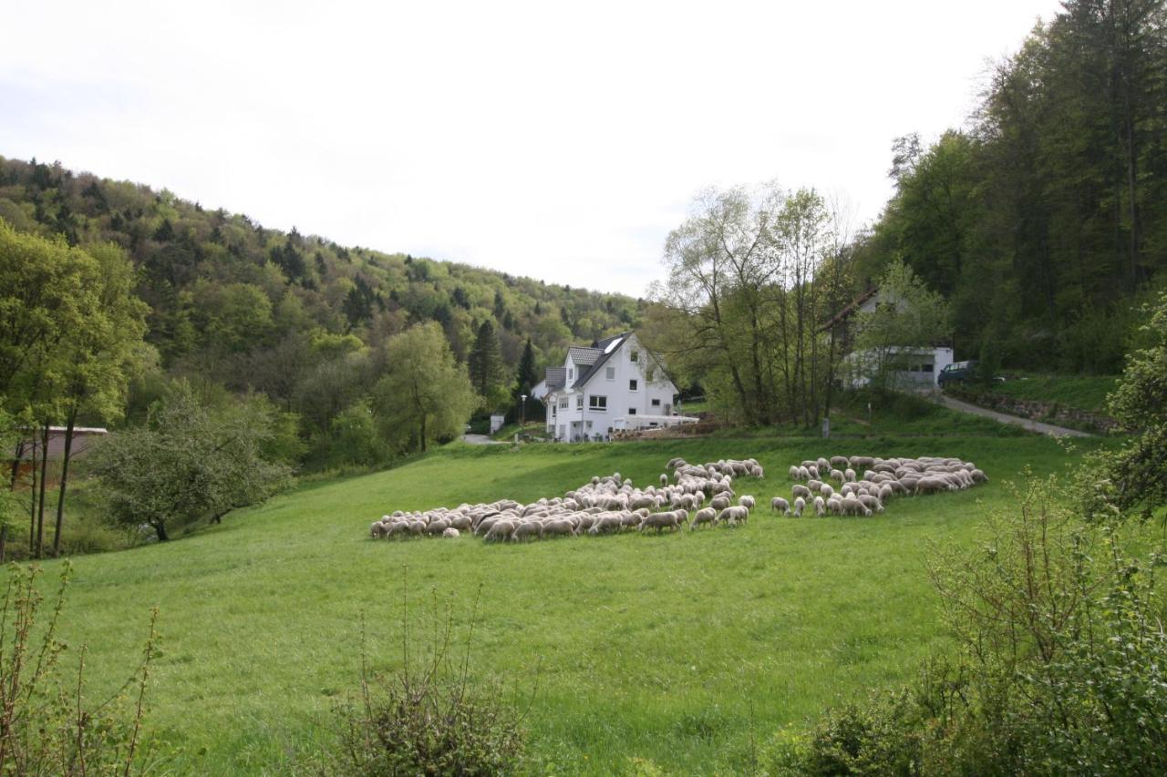 B&B Arlesbrunnen Egloffstein Bagian luar foto