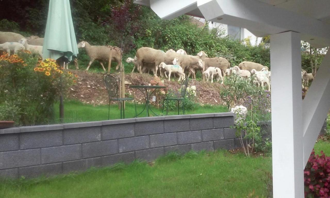 B&B Arlesbrunnen Egloffstein Bagian luar foto