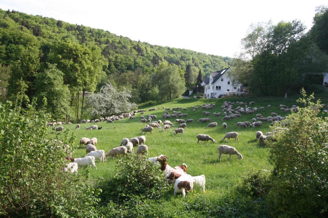 B&B Arlesbrunnen Egloffstein Bagian luar foto