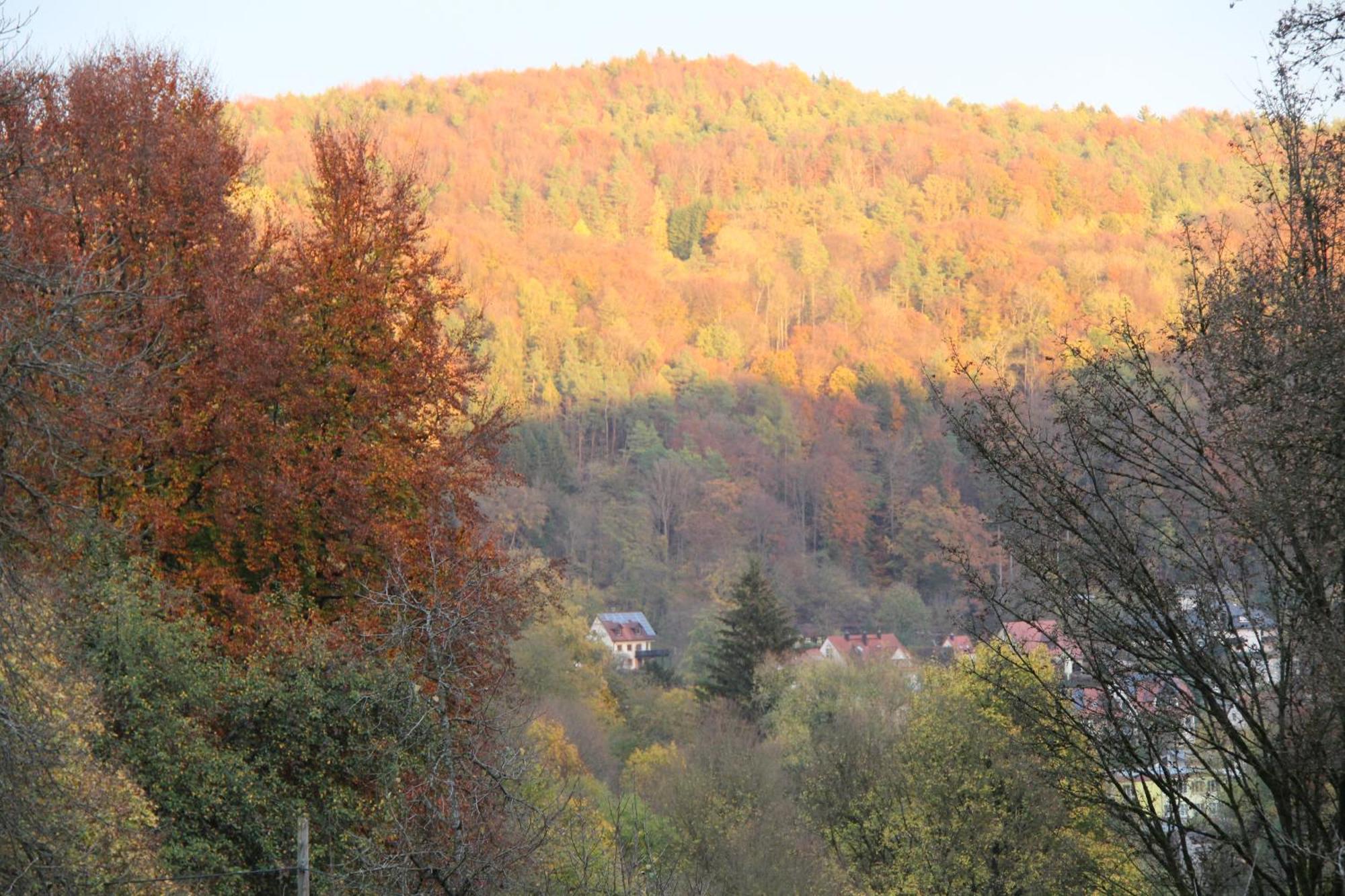 B&B Arlesbrunnen Egloffstein Bagian luar foto